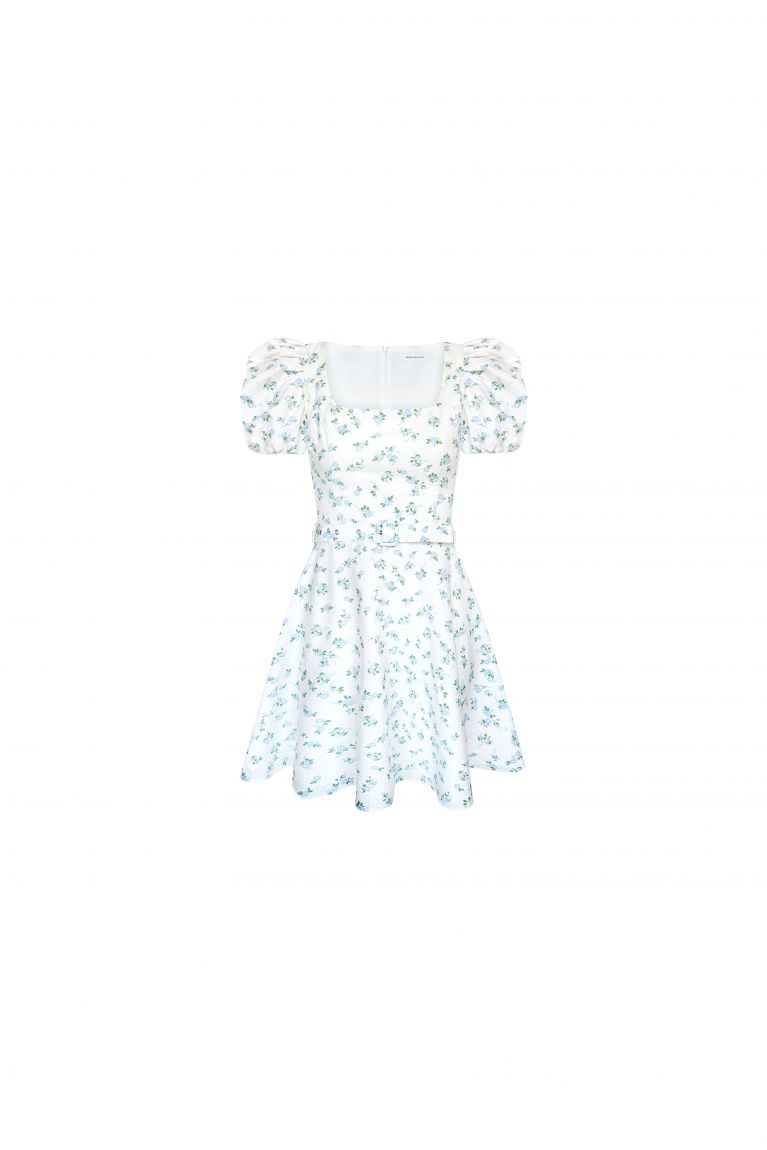 Сукня Alexa mini біла в блакитну квітку