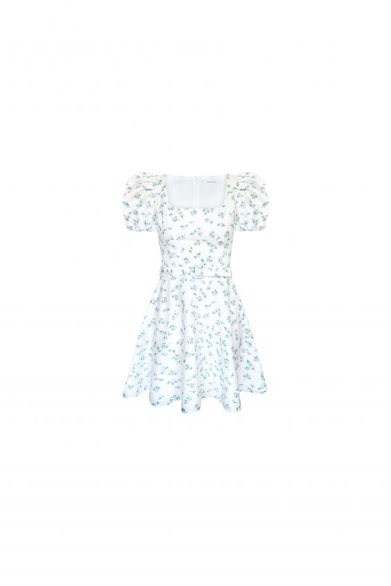 Сукня Alexa mini біла в блакитну квітку